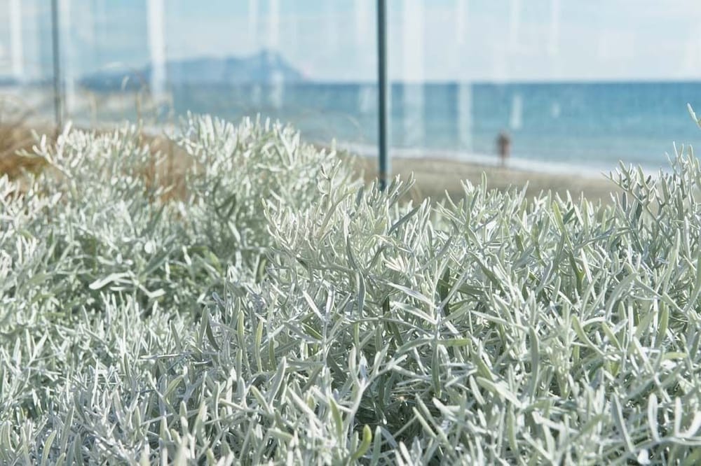 Фото Il Fogliano Hotel