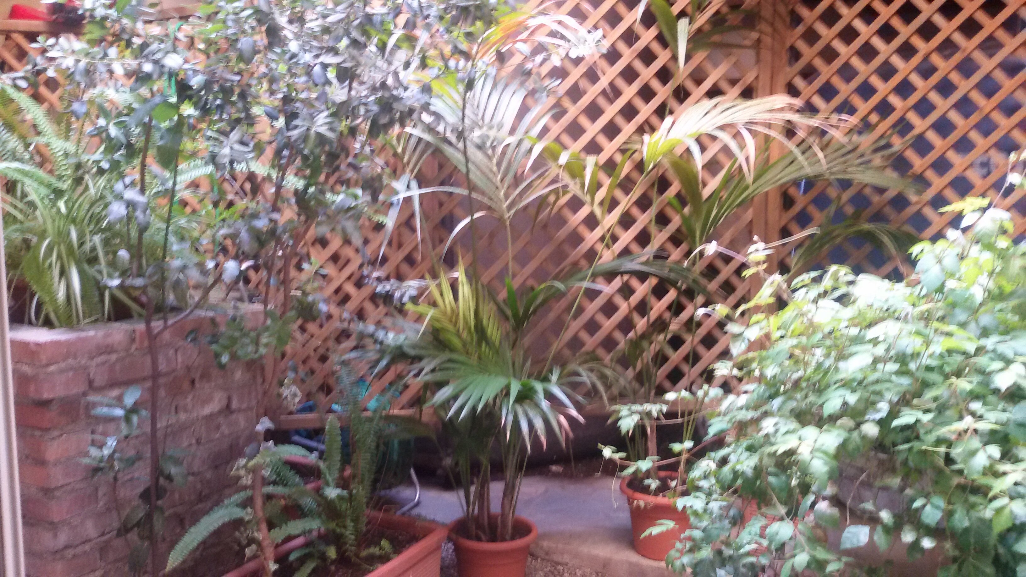 Фото Hotel La Residenza Messina