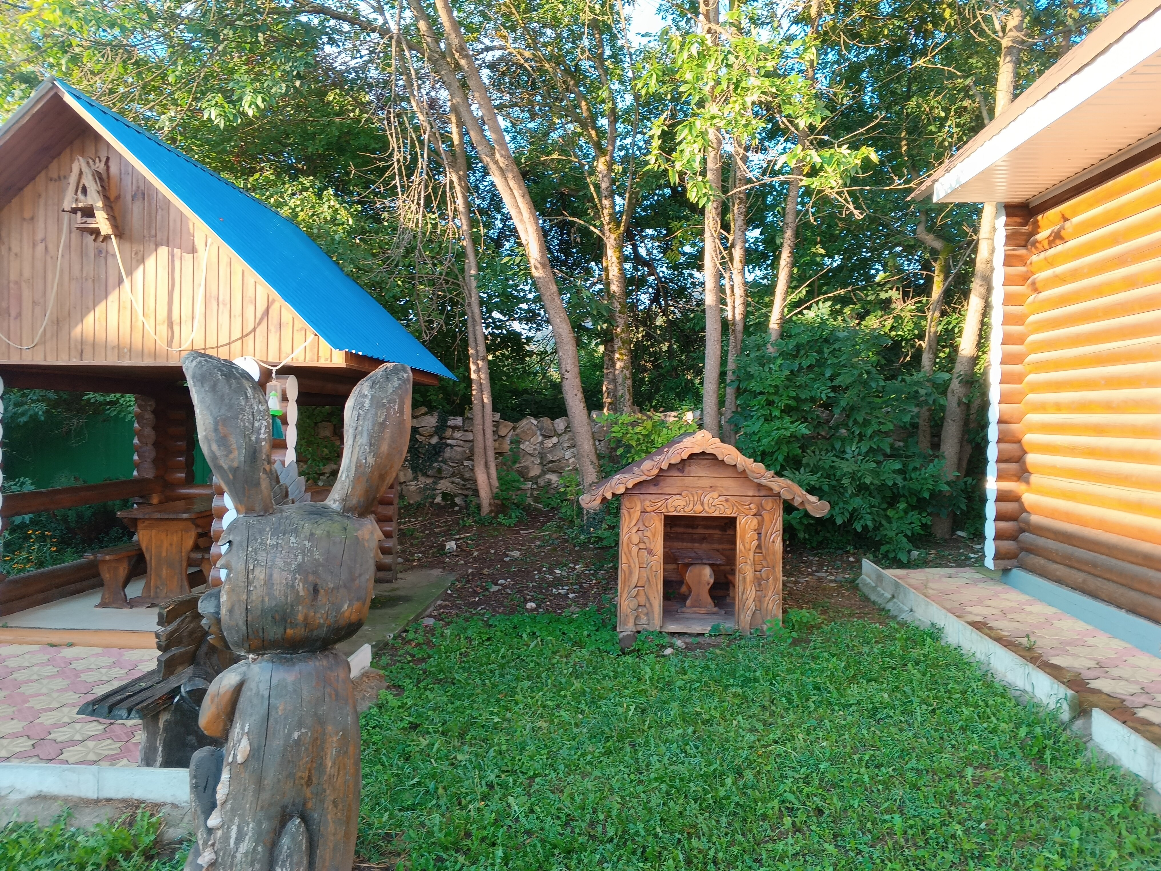 Фото Солнечная