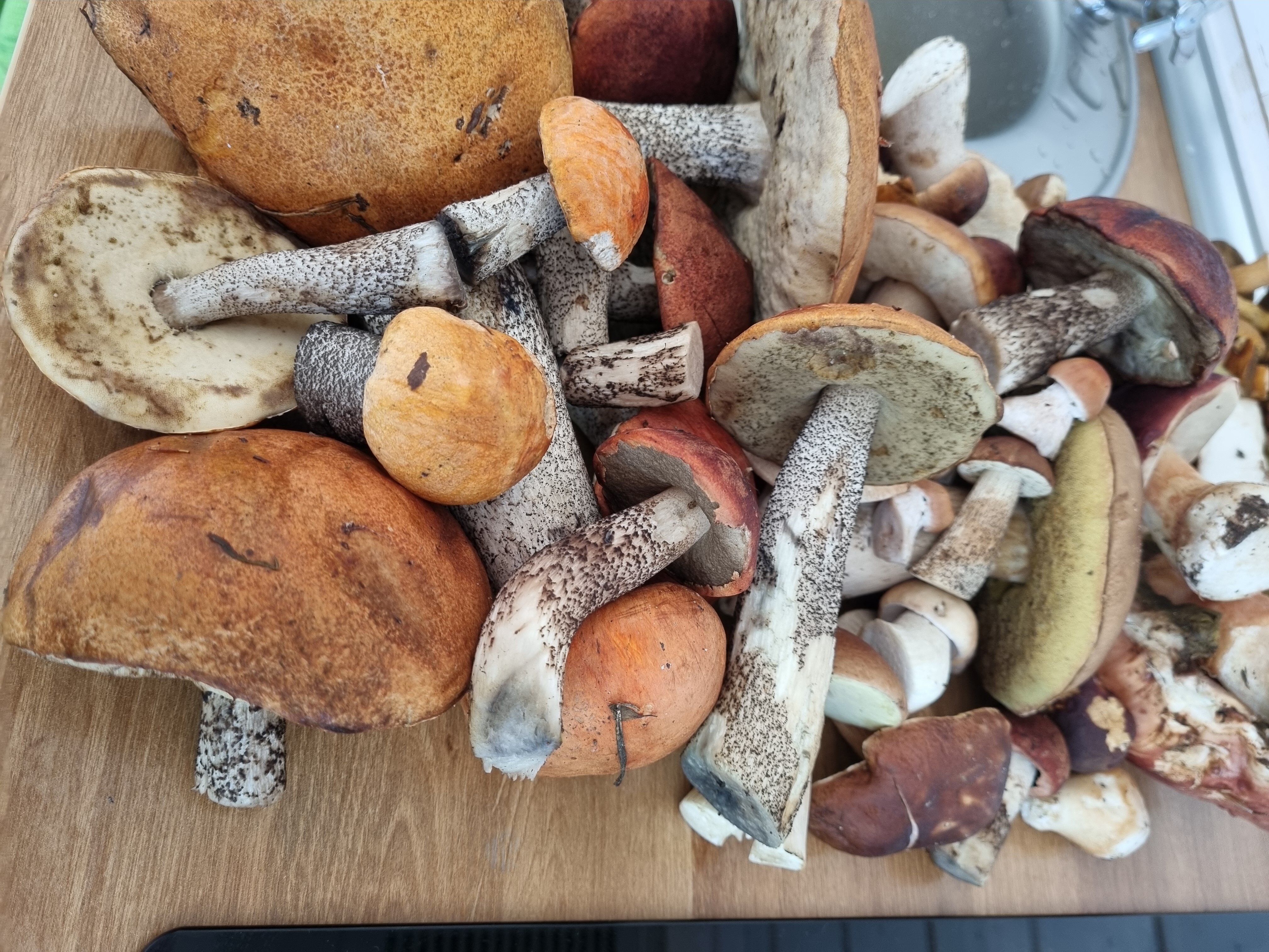 Фото Вереск