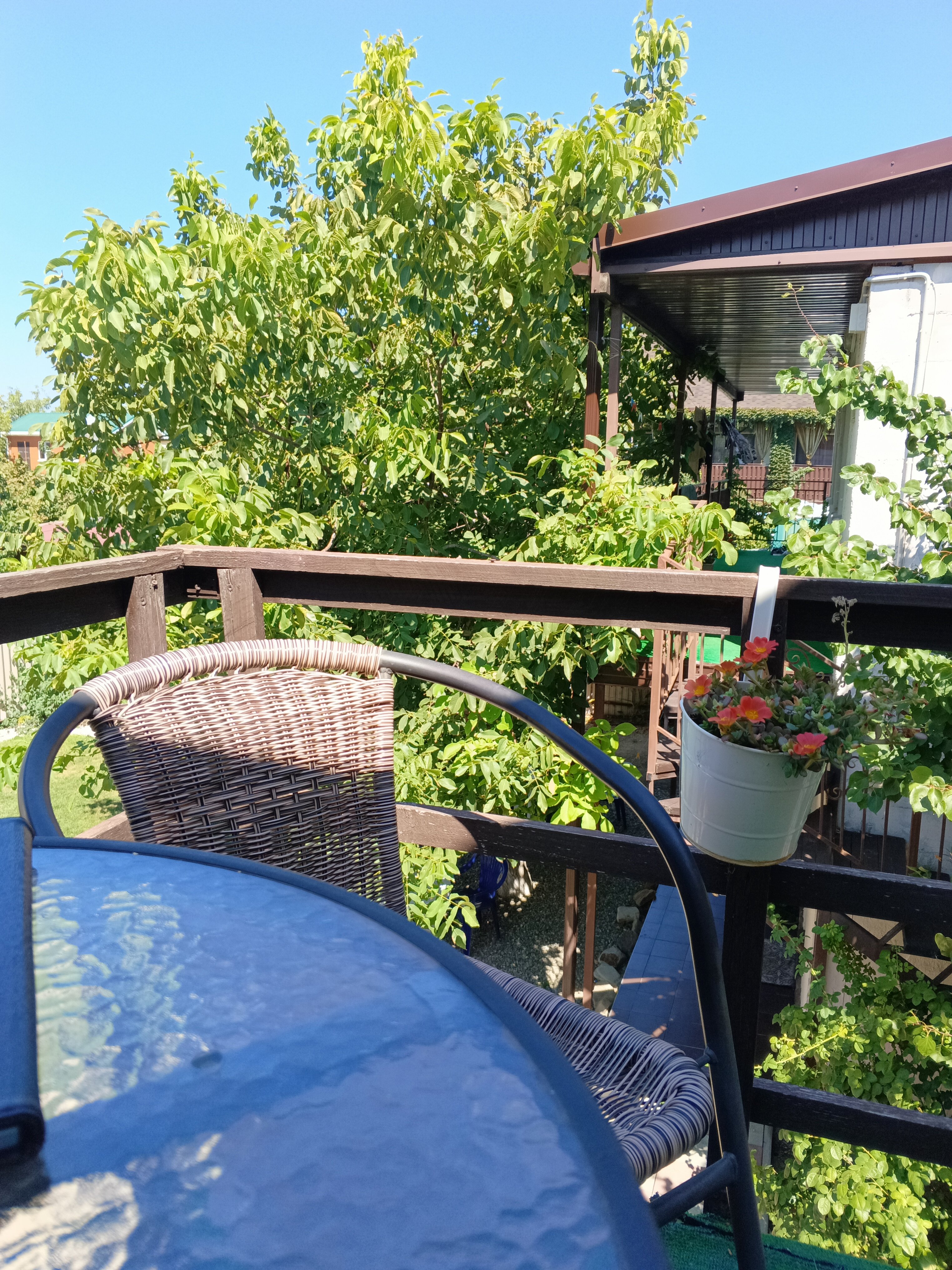 Фото Дача у моря