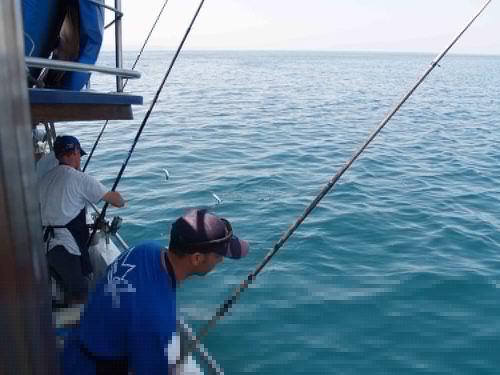 Фото Residence Fontana Vecchia