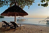 Фото Easy Diving and Beach Resort