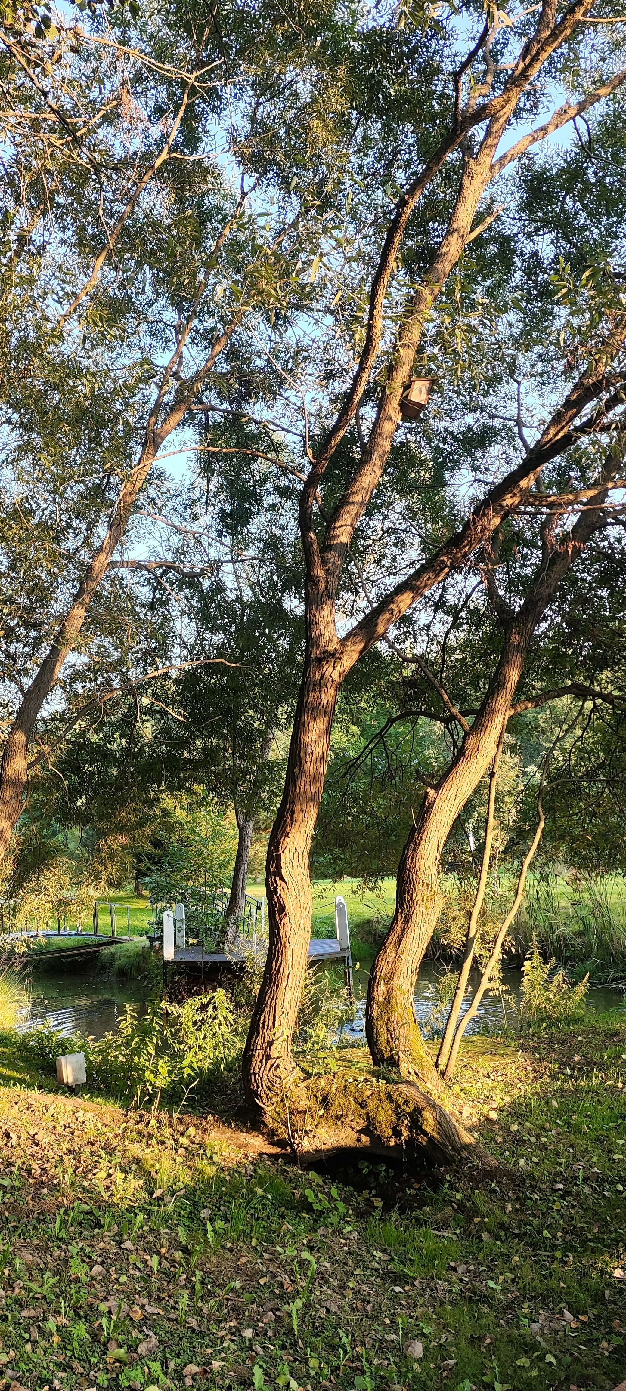 Фото Indie House