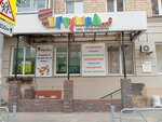 Supermarket Tigrushka (Dekabristov Street, 36), toys and games
