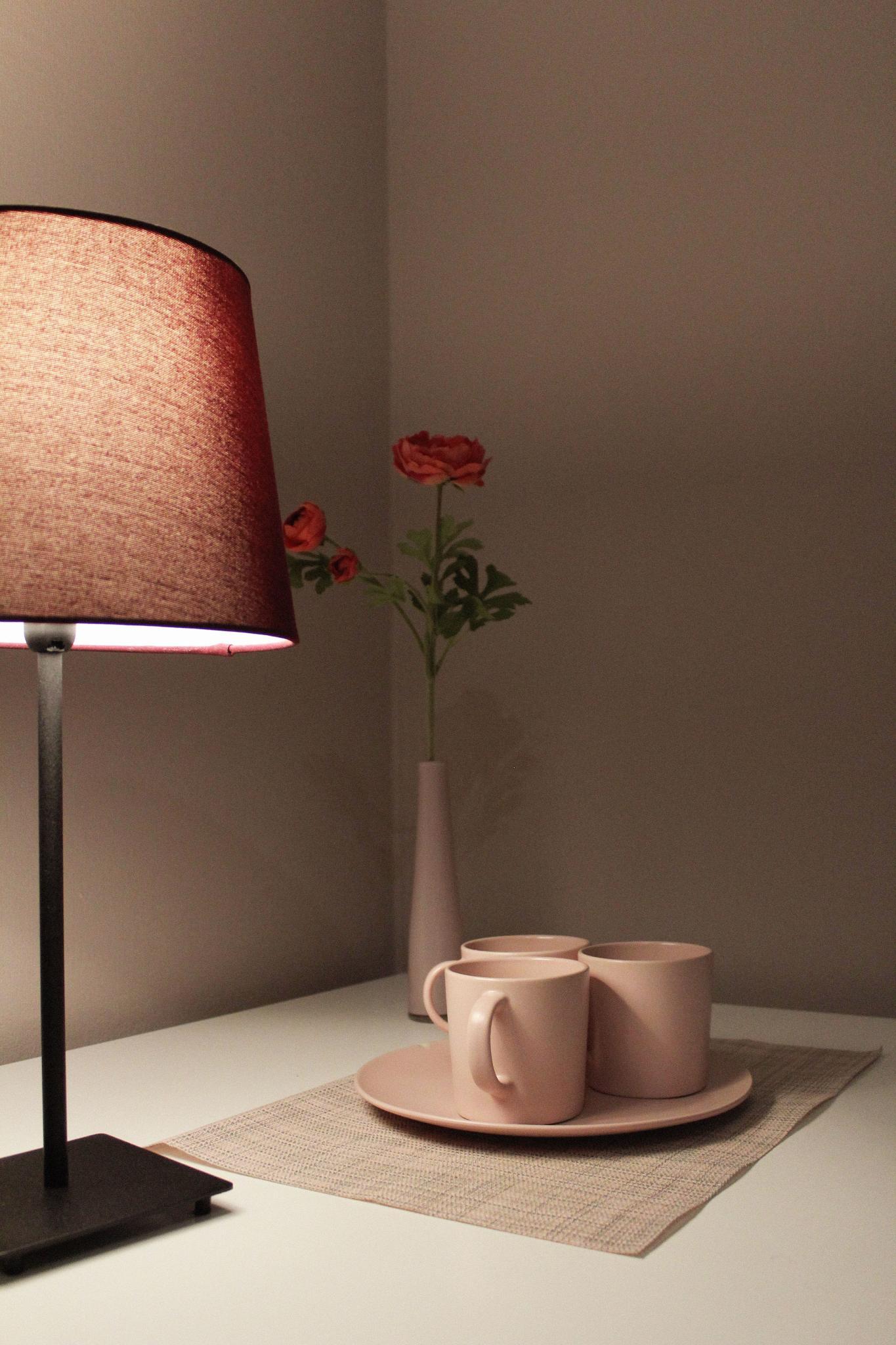 Фото У Эрмитажа