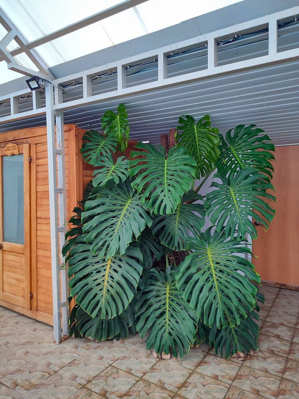 Фото Предгорье