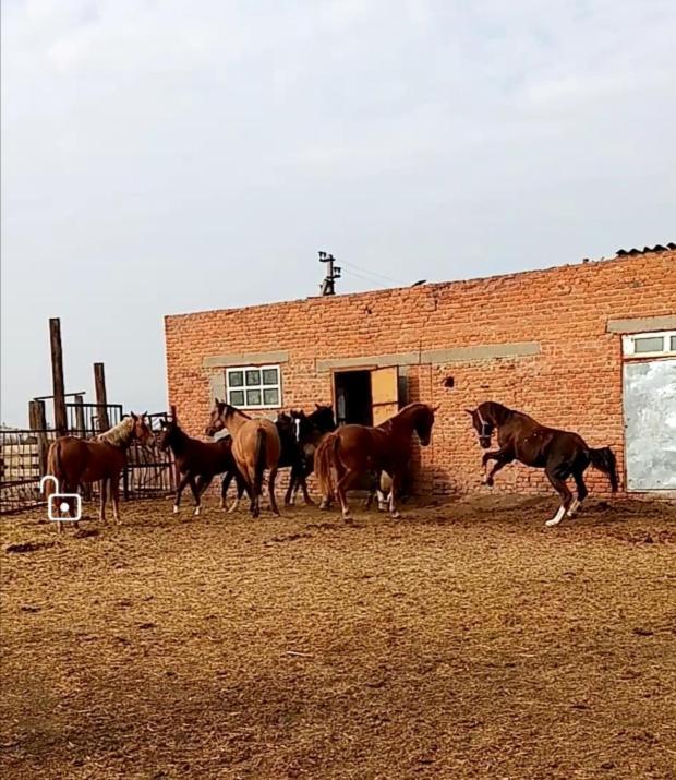 Фото Станица Черноярская