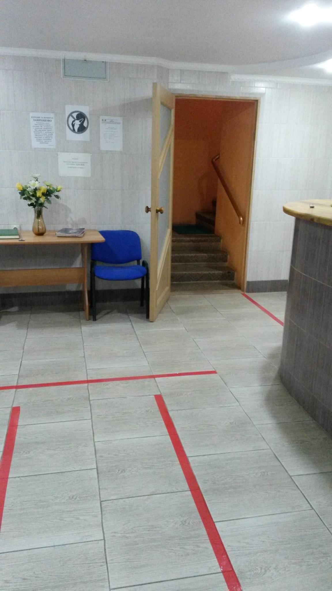 Фото Берёзка