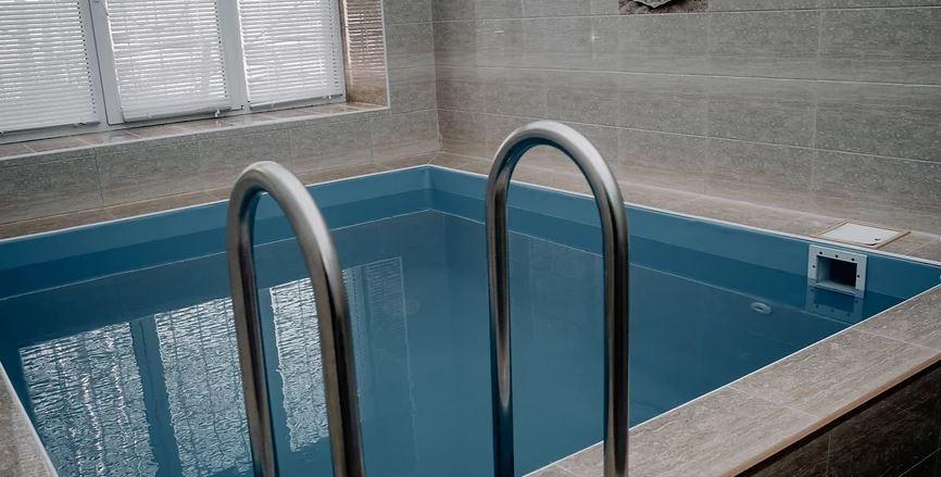 Фото Багира