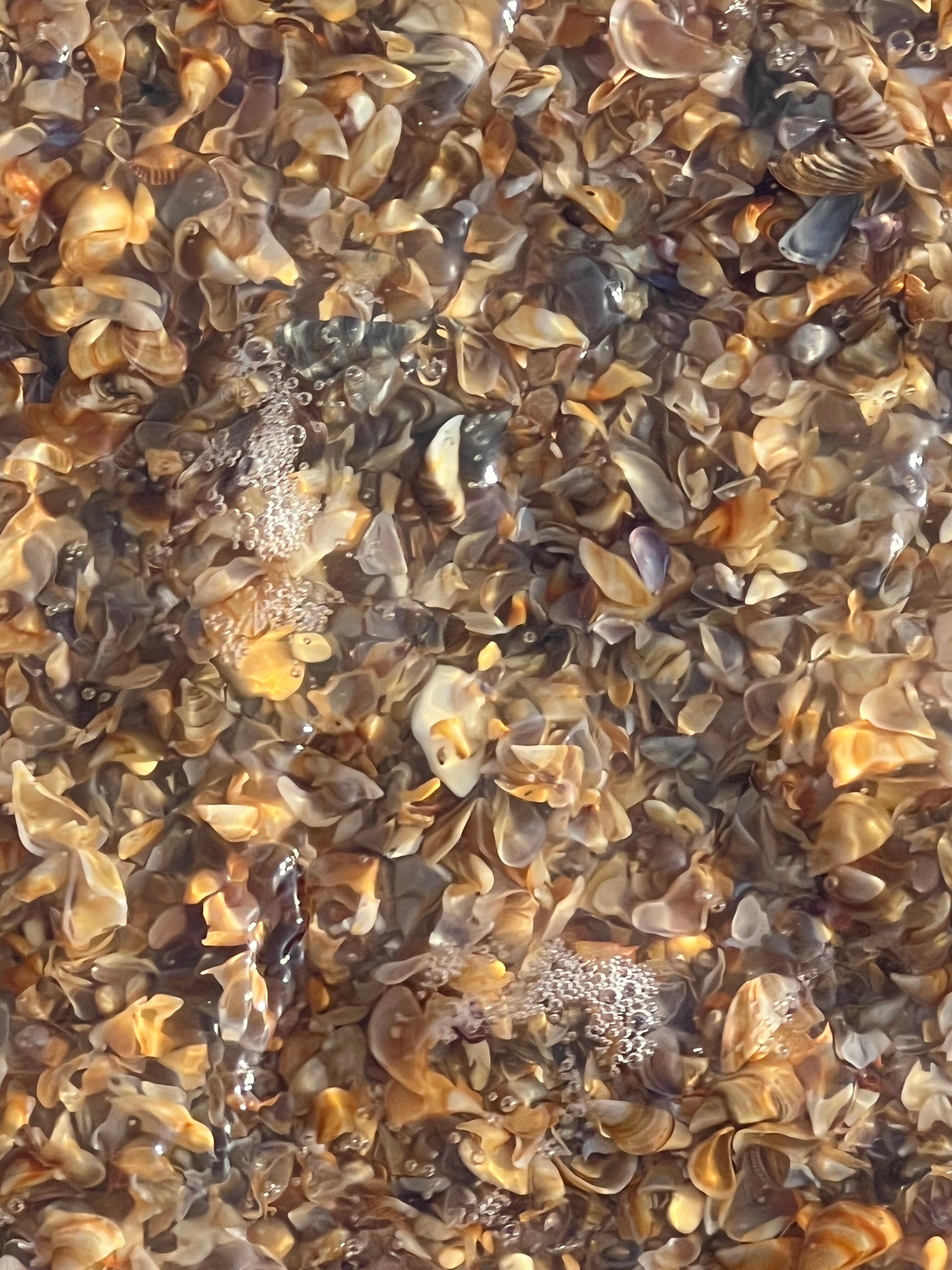 Фото Жемчужина Каспия