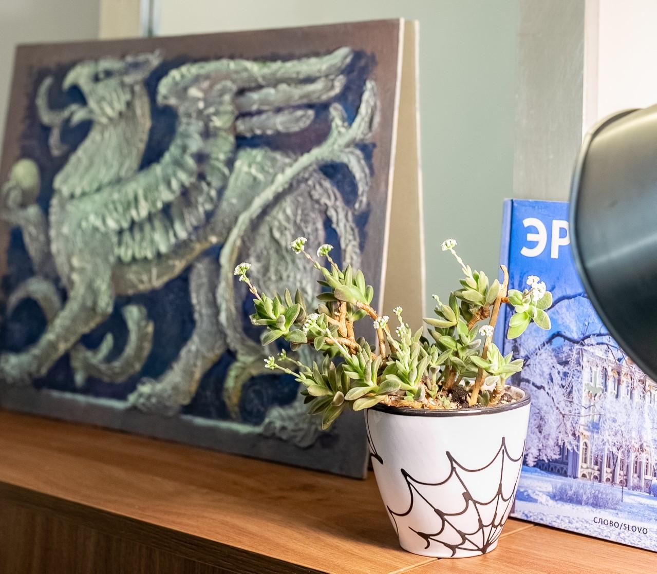 Фото Грифон