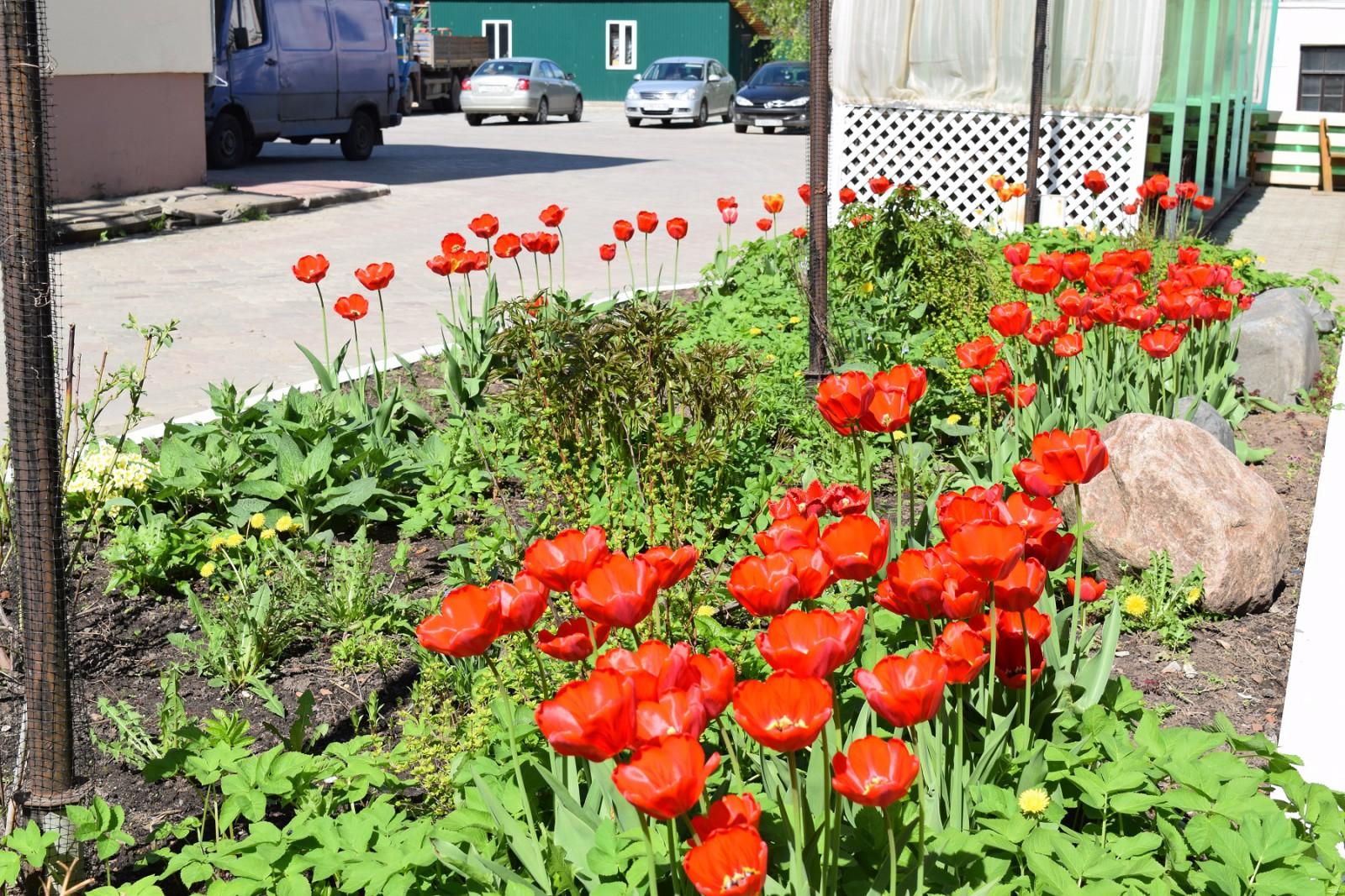 Фото Великий Устюг