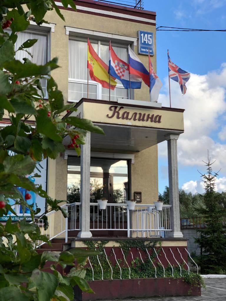 Фото Калина