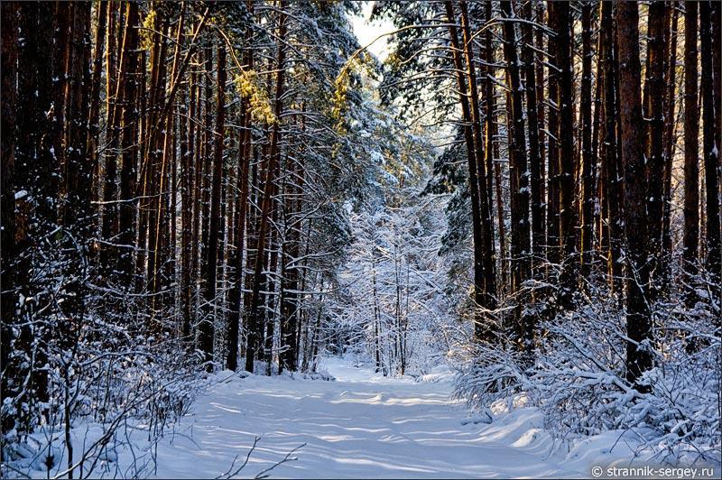 Фото Ковчег