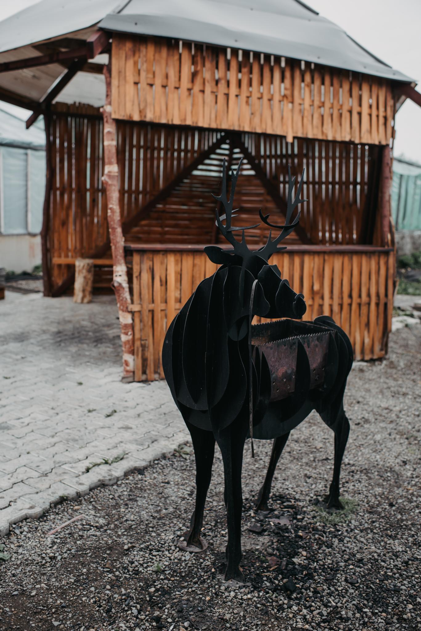 Фото Eko house kamchatka