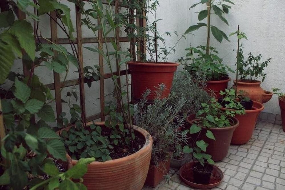 Фото E-Nove Lounge Hostel Caffe