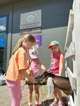 Семкино Подворье (posyolok Molodyozhny, ulitsa Vadima Usova, 2), lechería