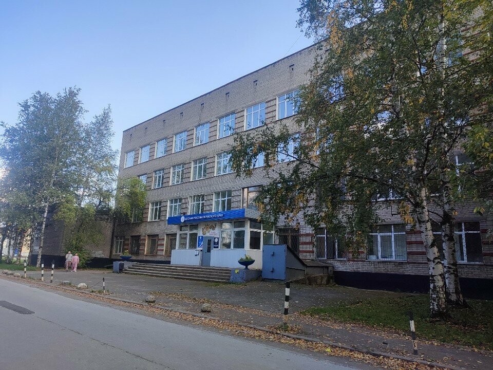 Organización pública Добровольное Общество Содействия Армии, Авиации и Флоту России, , foto
