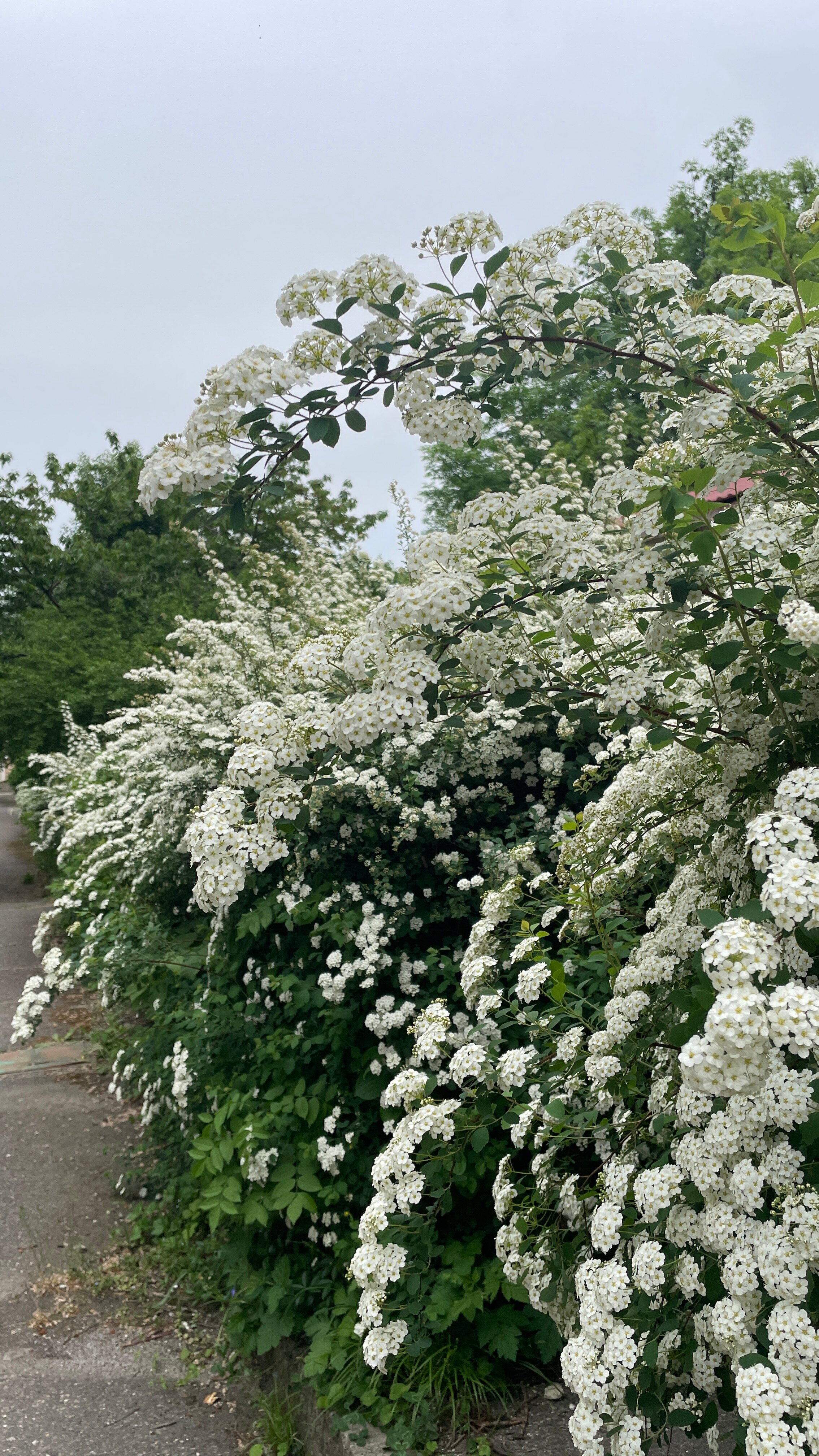 Фото Геолог Казахстана