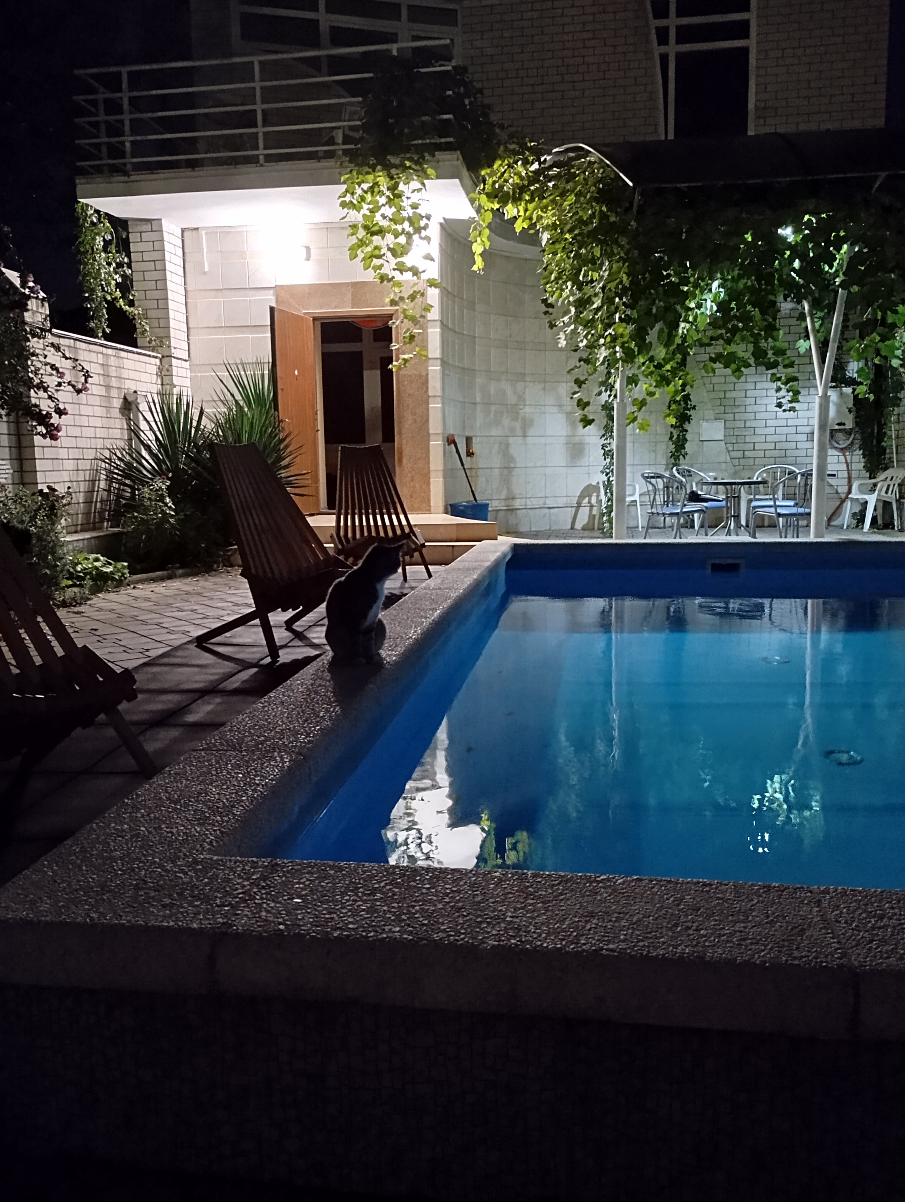 Фото Белый фрегат