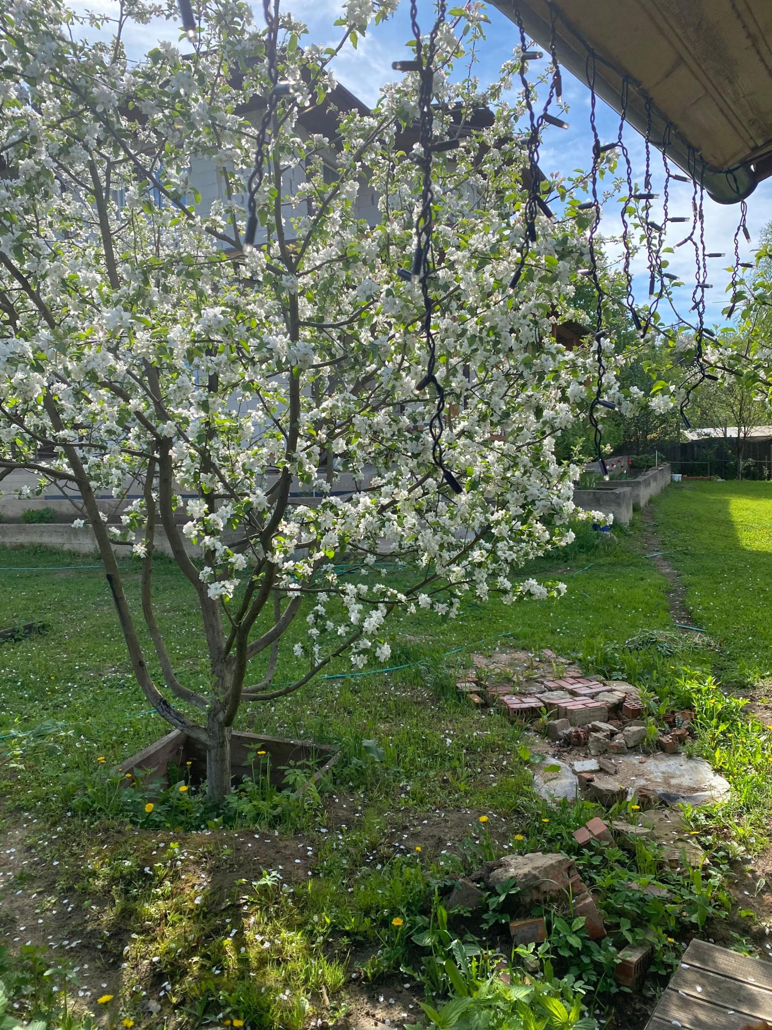 Фото Баня Дом Мишуткино