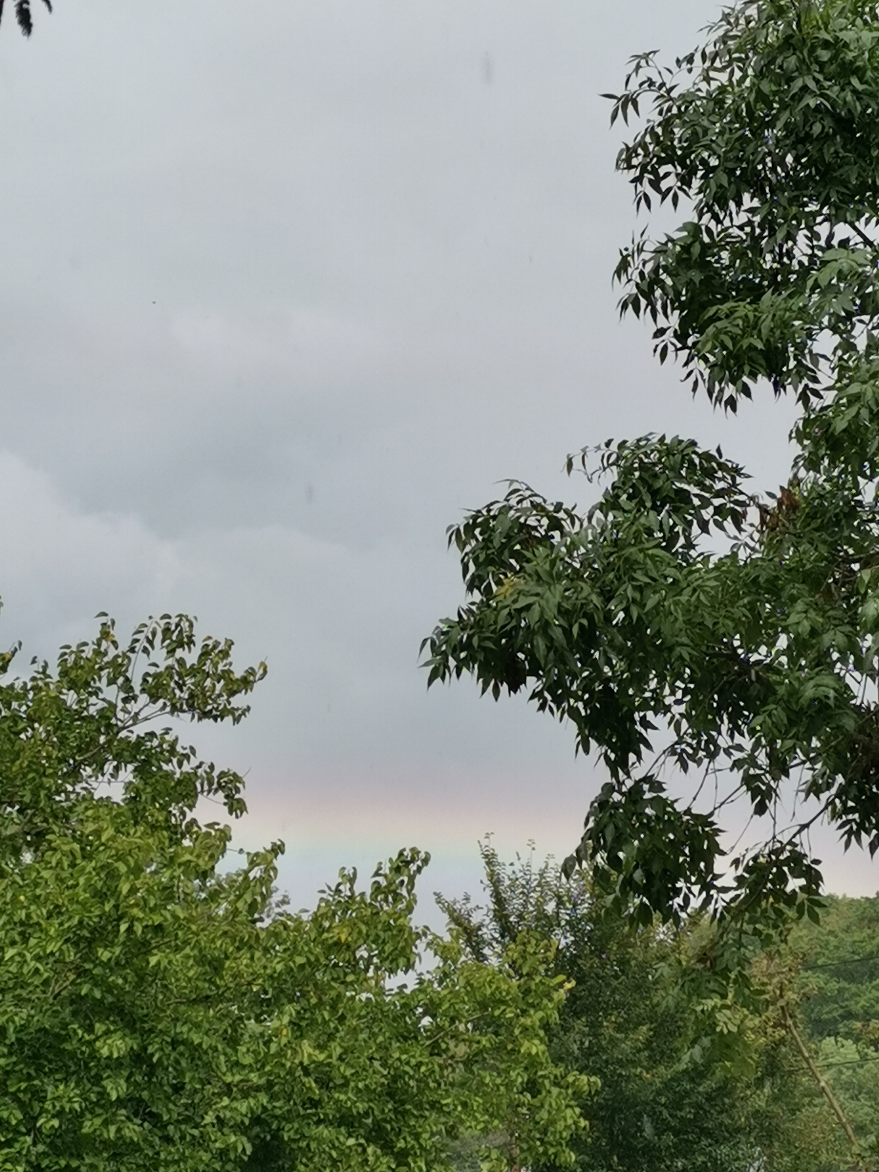 Фото Полянка