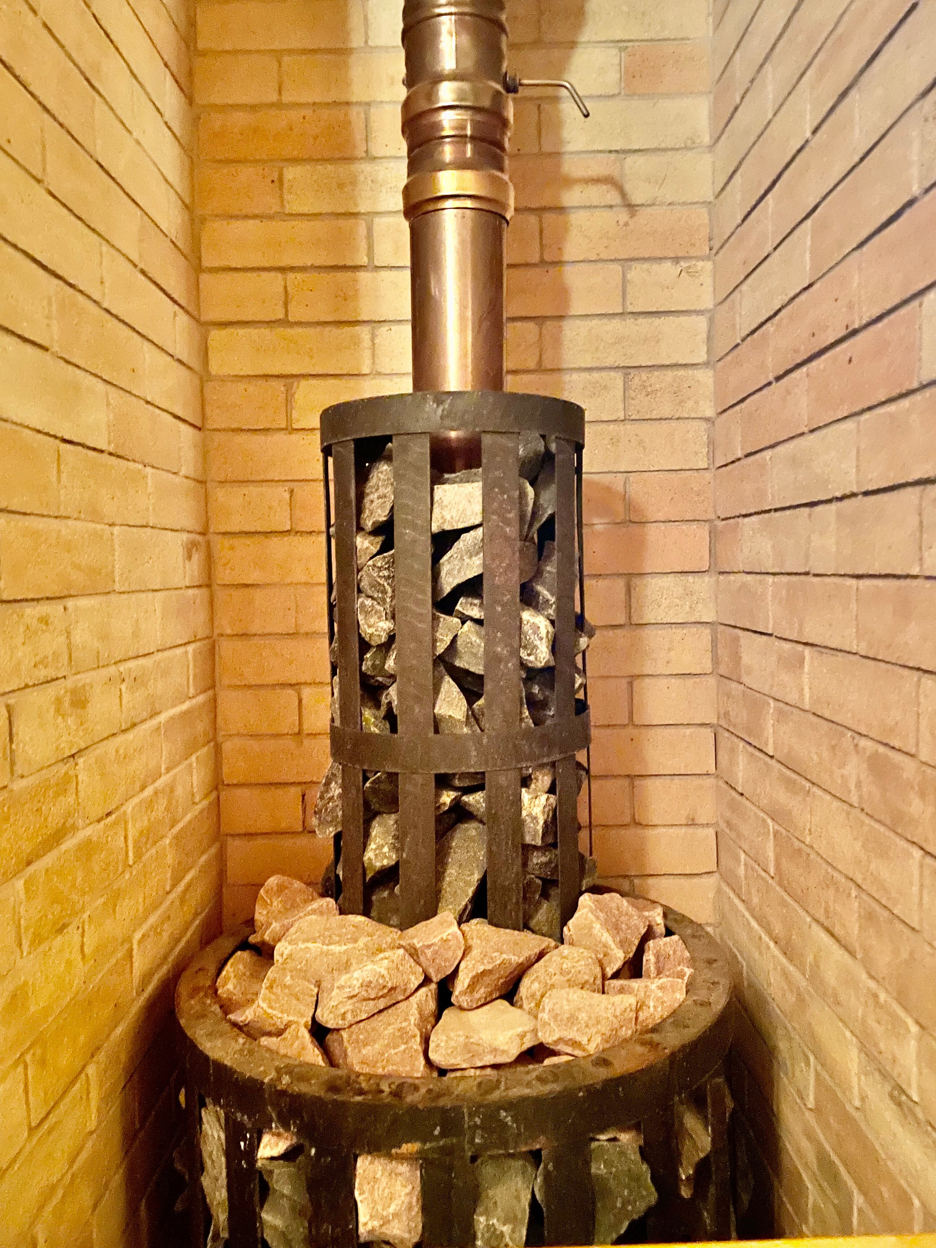 Фото Розмарин