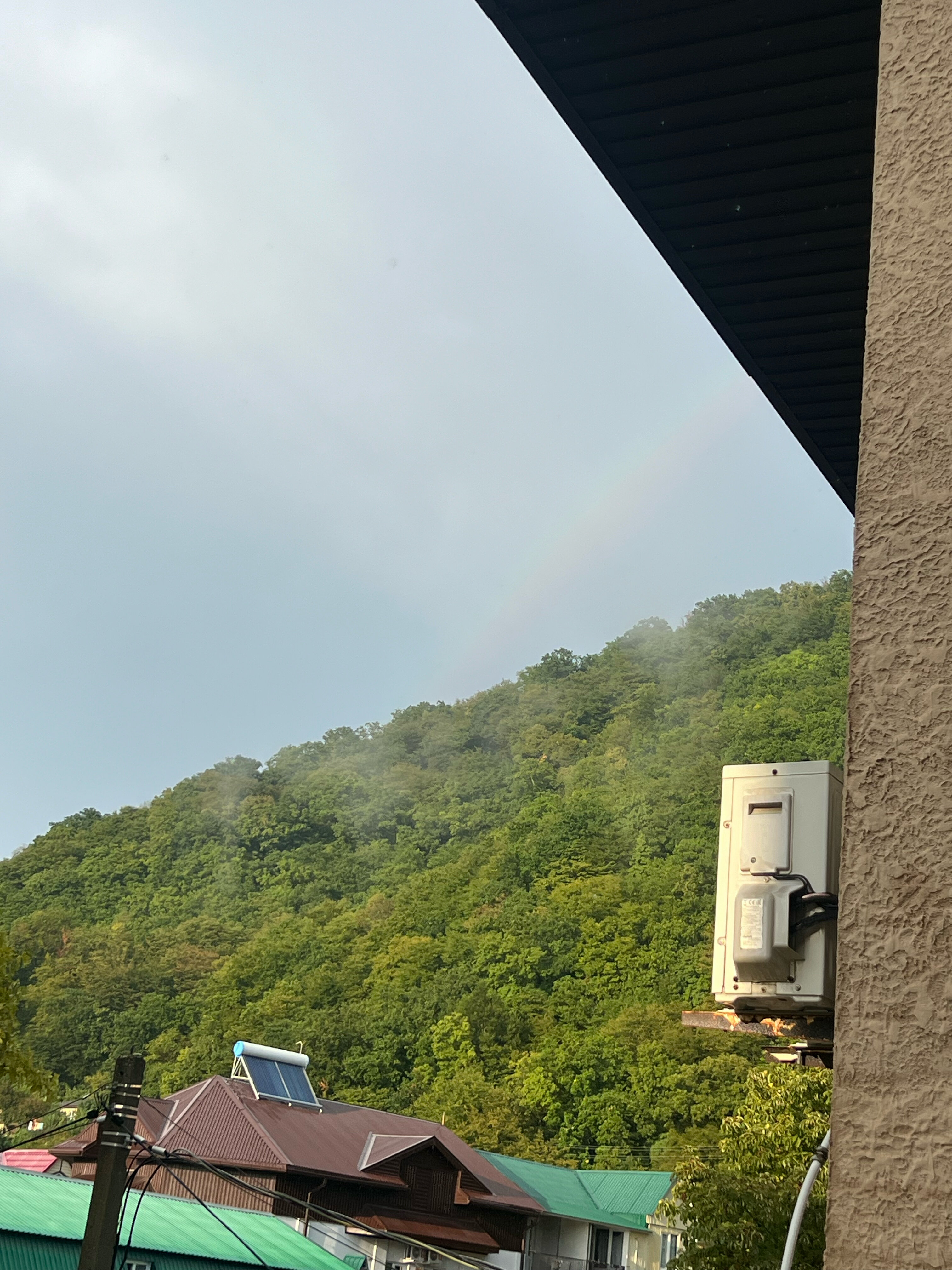 Фото Amigo Panna-Cotta