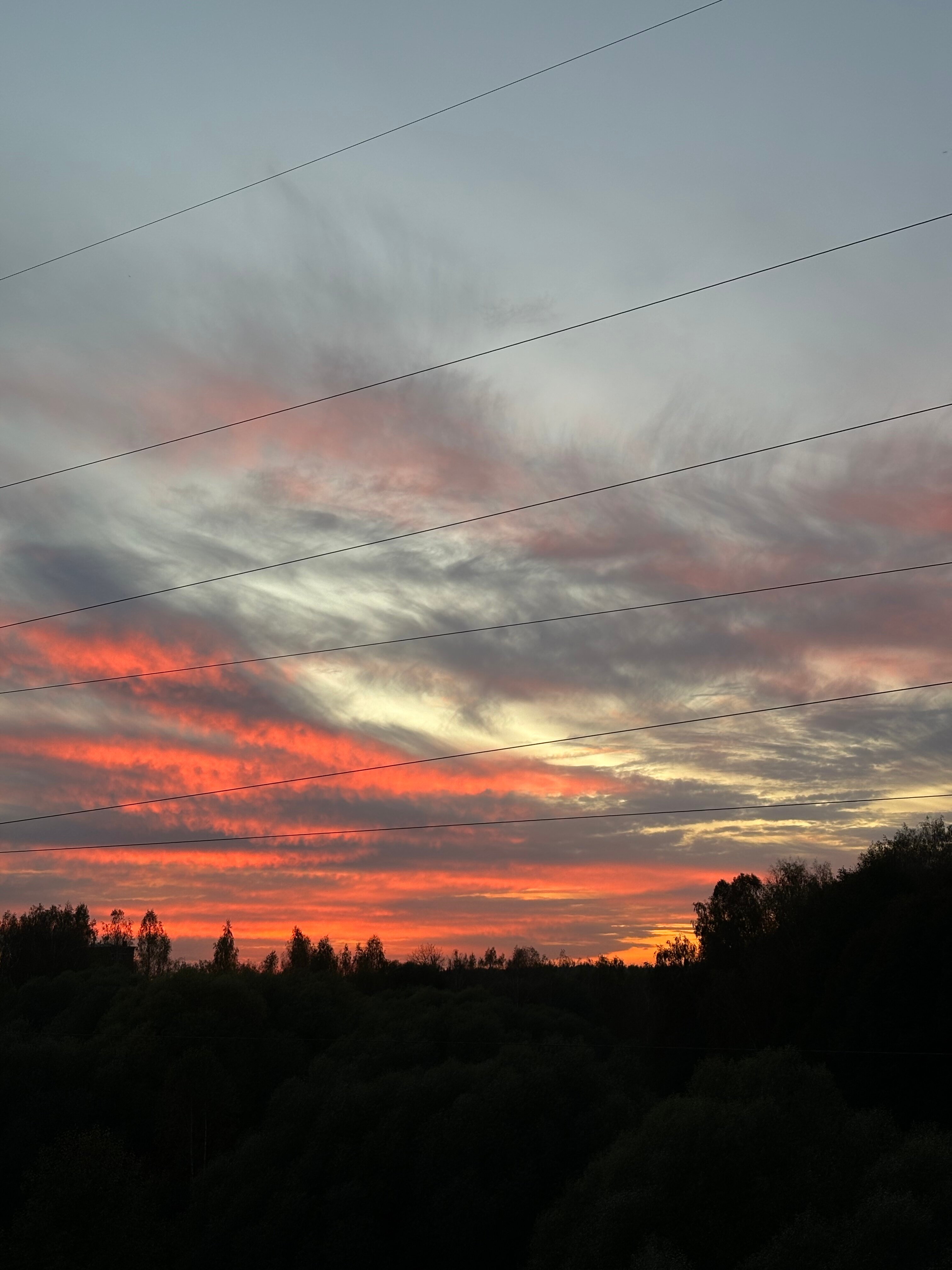 Фото Клевер