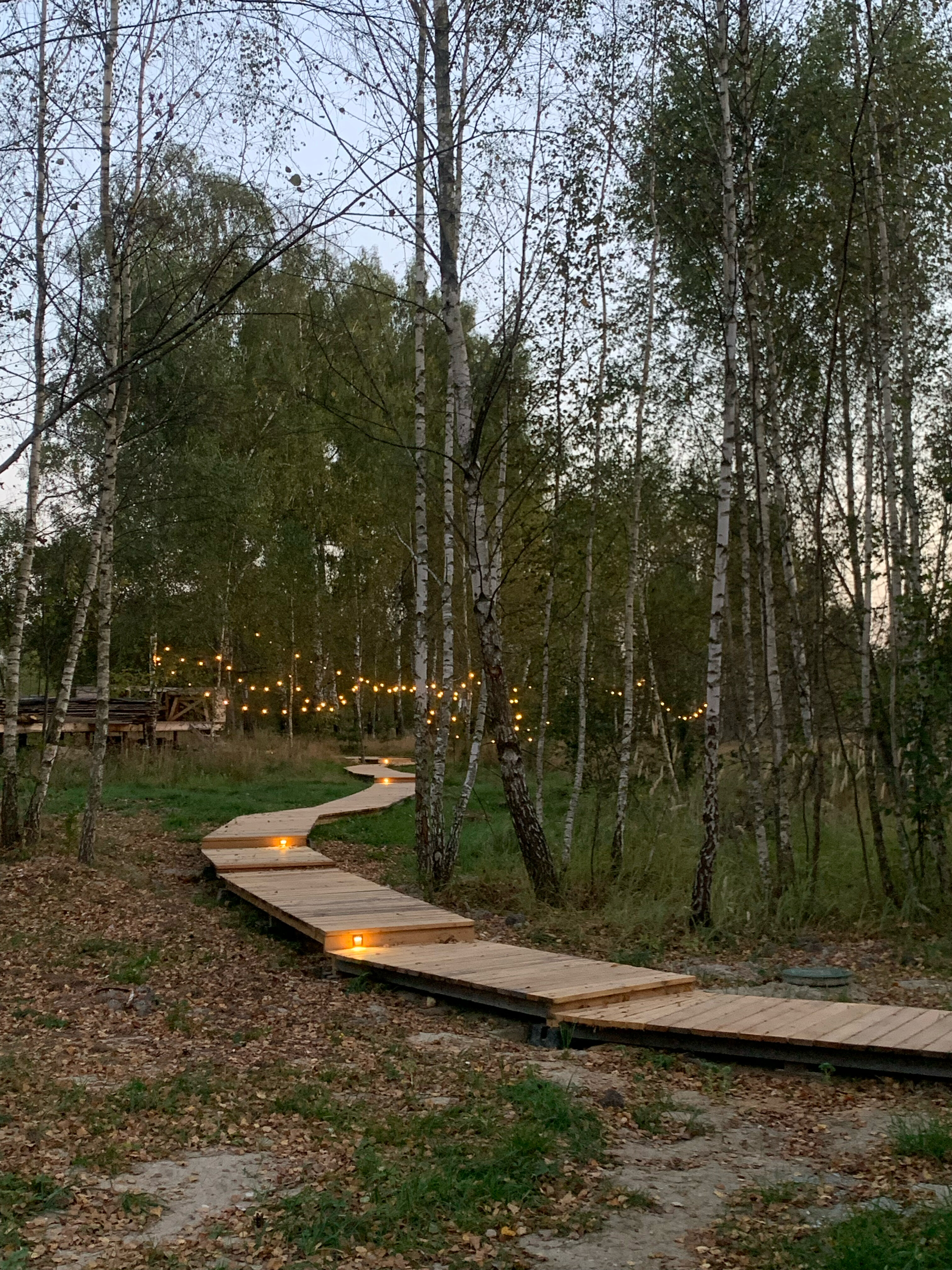 Фото Козы да Березы