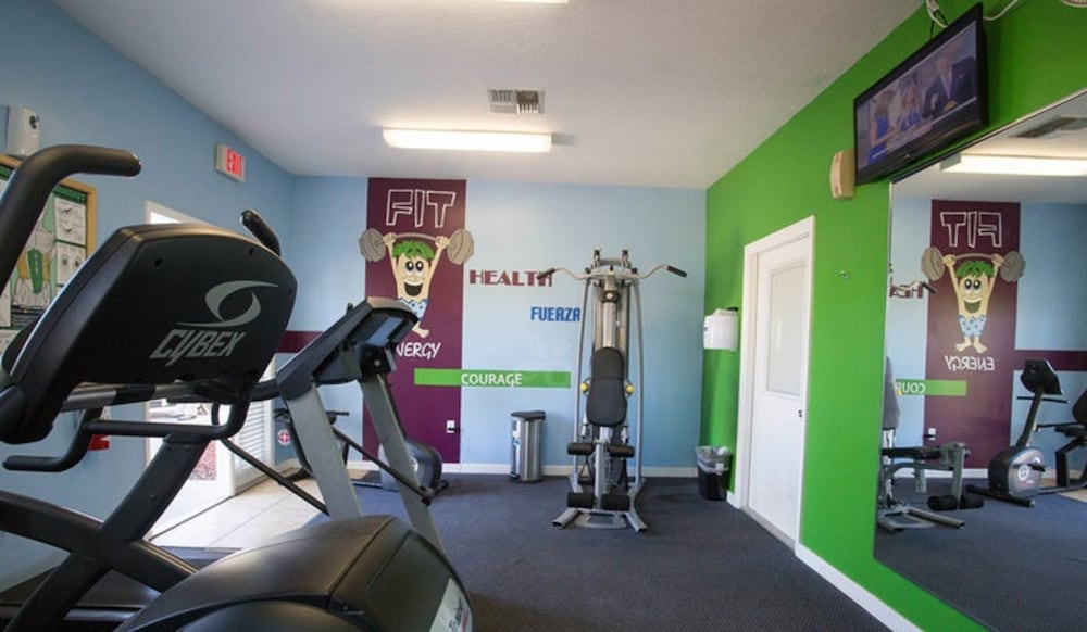 Фото Tropical Palms