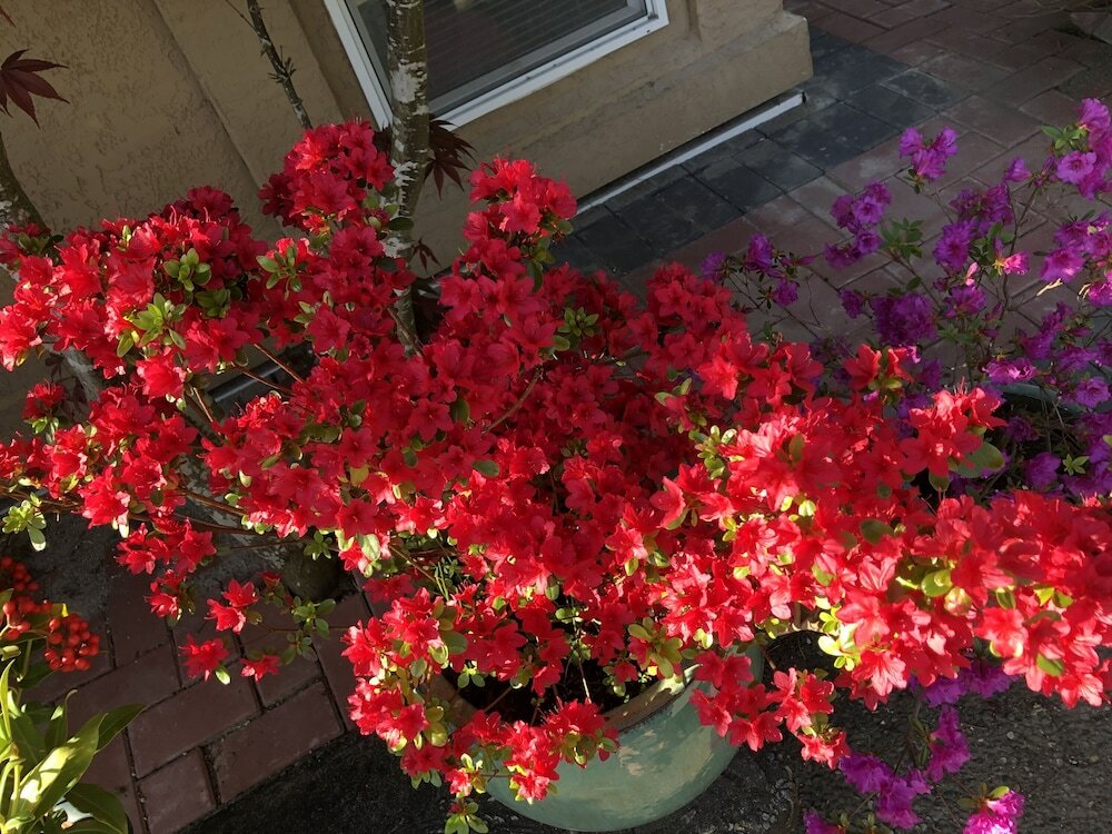 Фото Charming Family Hotel