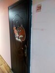 Винипух (Leningradskiy Avenue, 159), further education