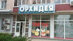 Orkhideya (Krasnaya ulitsa, 244), grocery