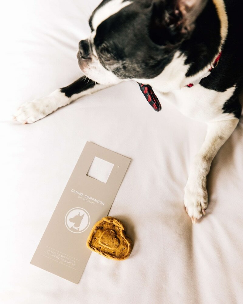 Фото Grand Hyatt Seattle