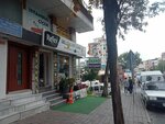 Selçuk Akvaryum Petshop (İstanbul, Osman Gazi Cad., 165C), pet shop