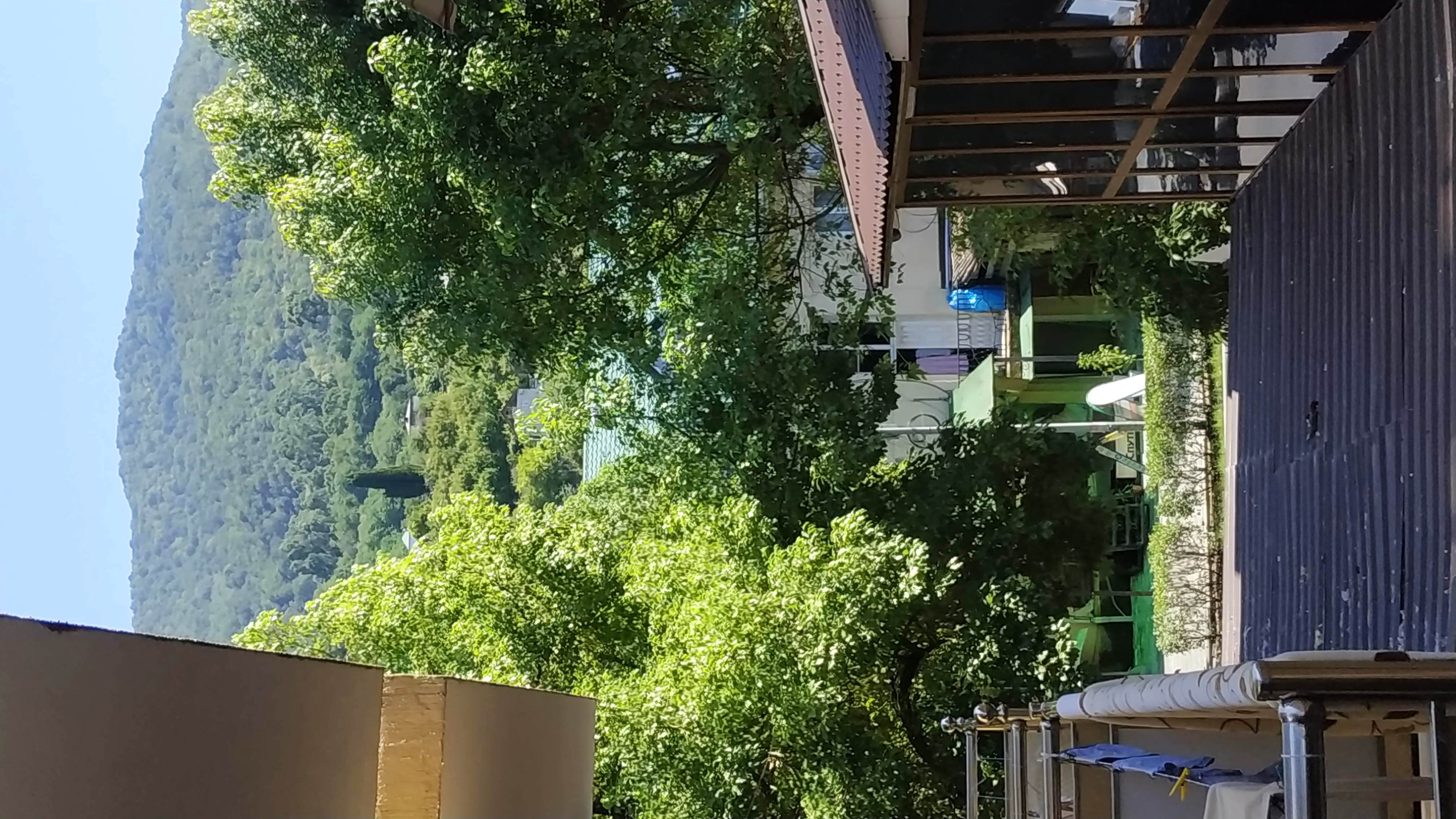 Фото Калипсо