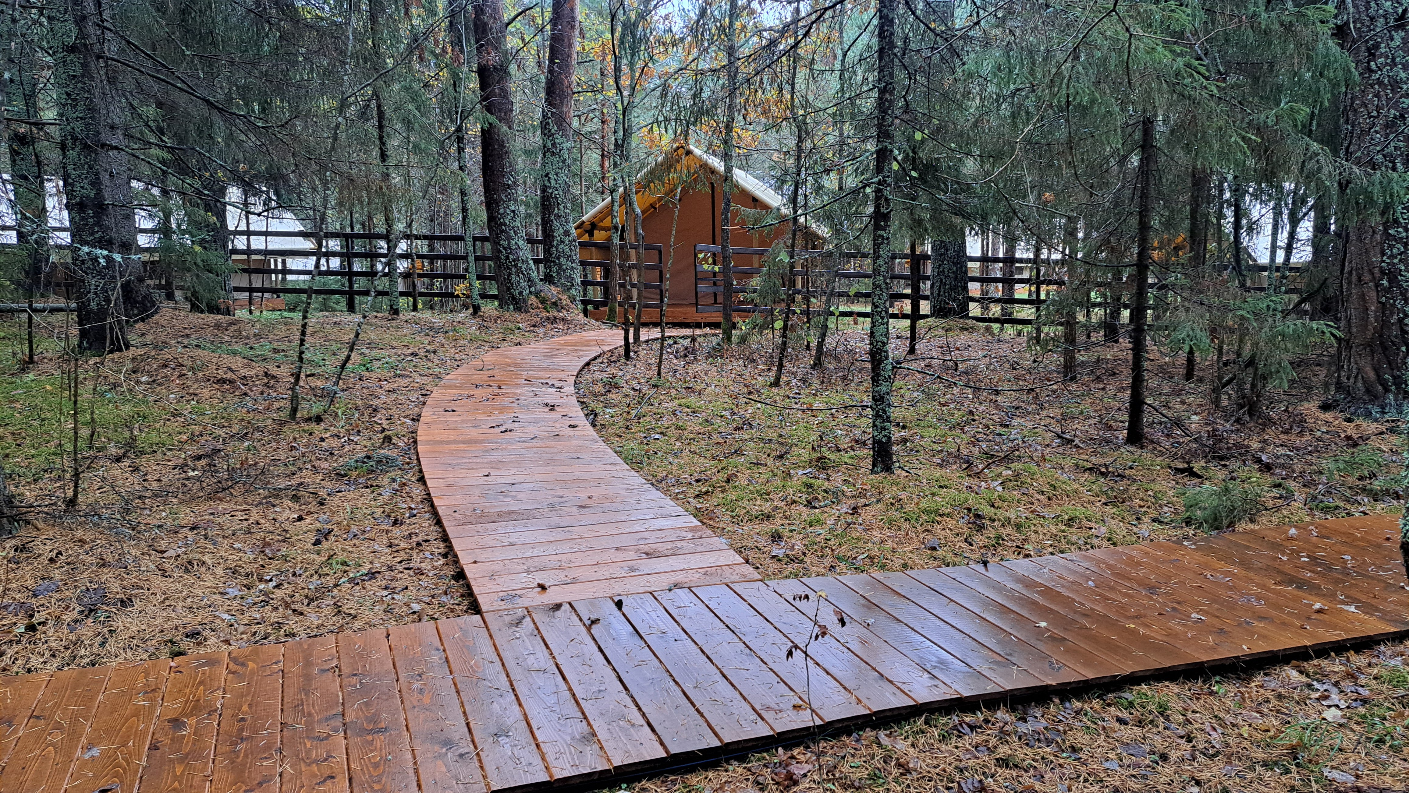 Фото Селигерия