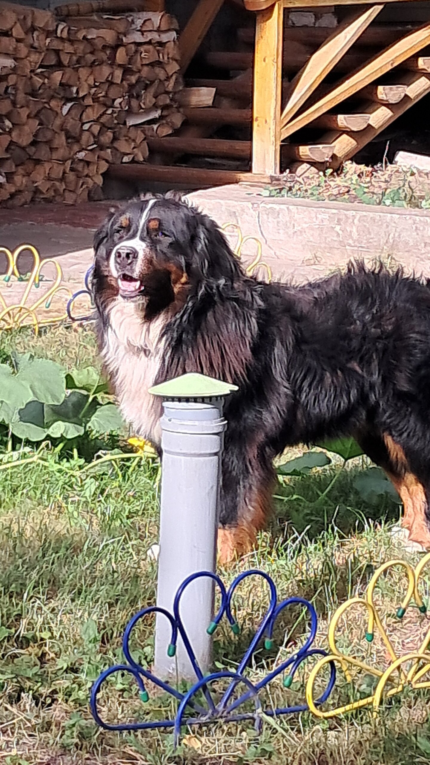 Фото Усадьба