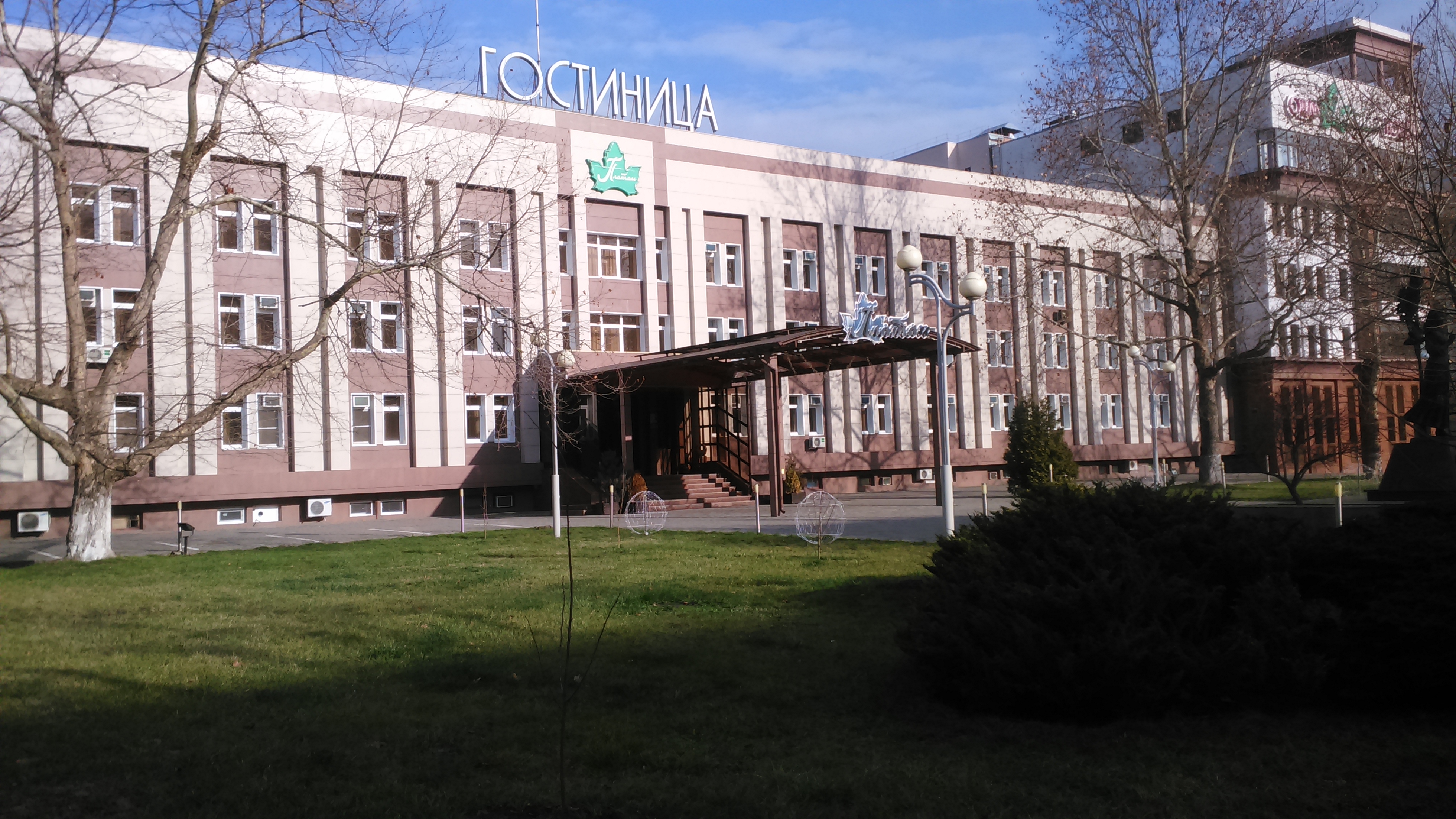 Фото Платан