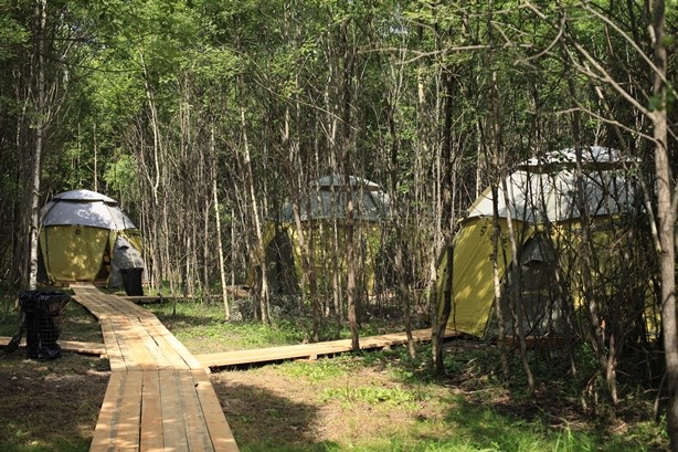 Фото Никола-Ленивец