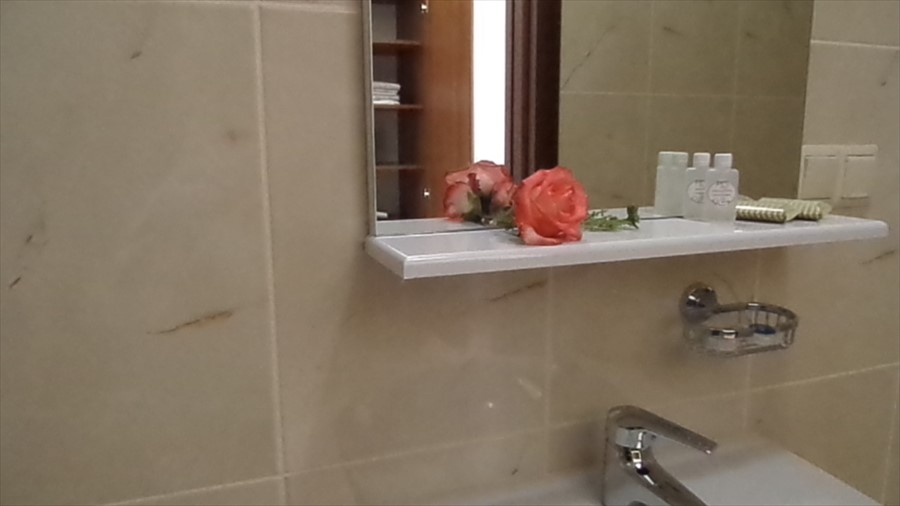 Фото Курортный Отель Гринцовский