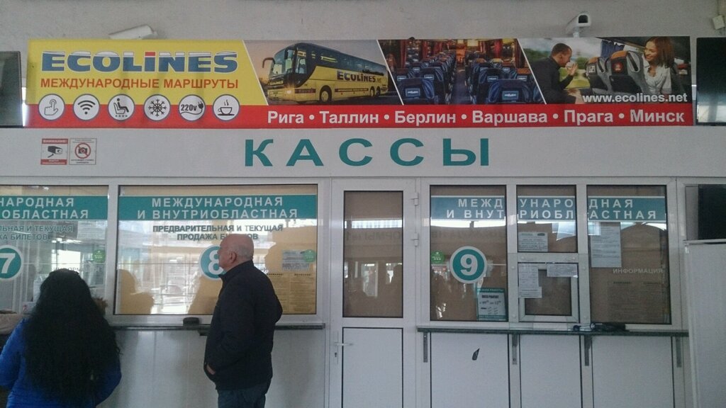 Bus transportation Ecolines, Kaliningrad, photo