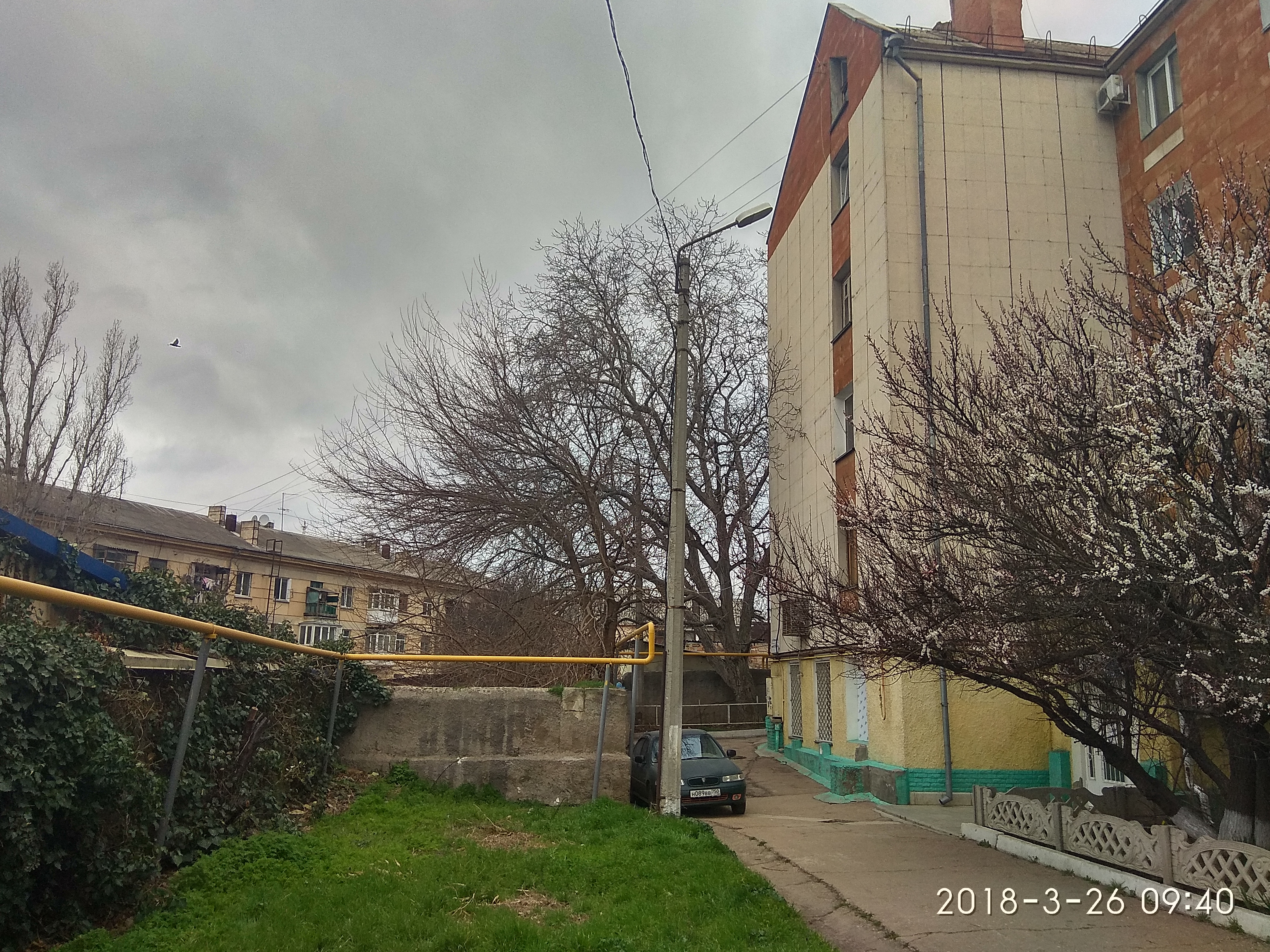 Фото Барабулька