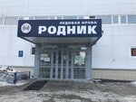 Rodnik Ice Palace (ulitsa Tyulenina, 10) ، مركز رياضي