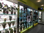 Stekolnaya masterskaya, Ip Belov A. P. (ulitsa Chekhova, 8А), fabricación e instalación de espejos