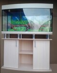 Aquamed.ru (MKAD, 14th kilometre, 23), aquariums