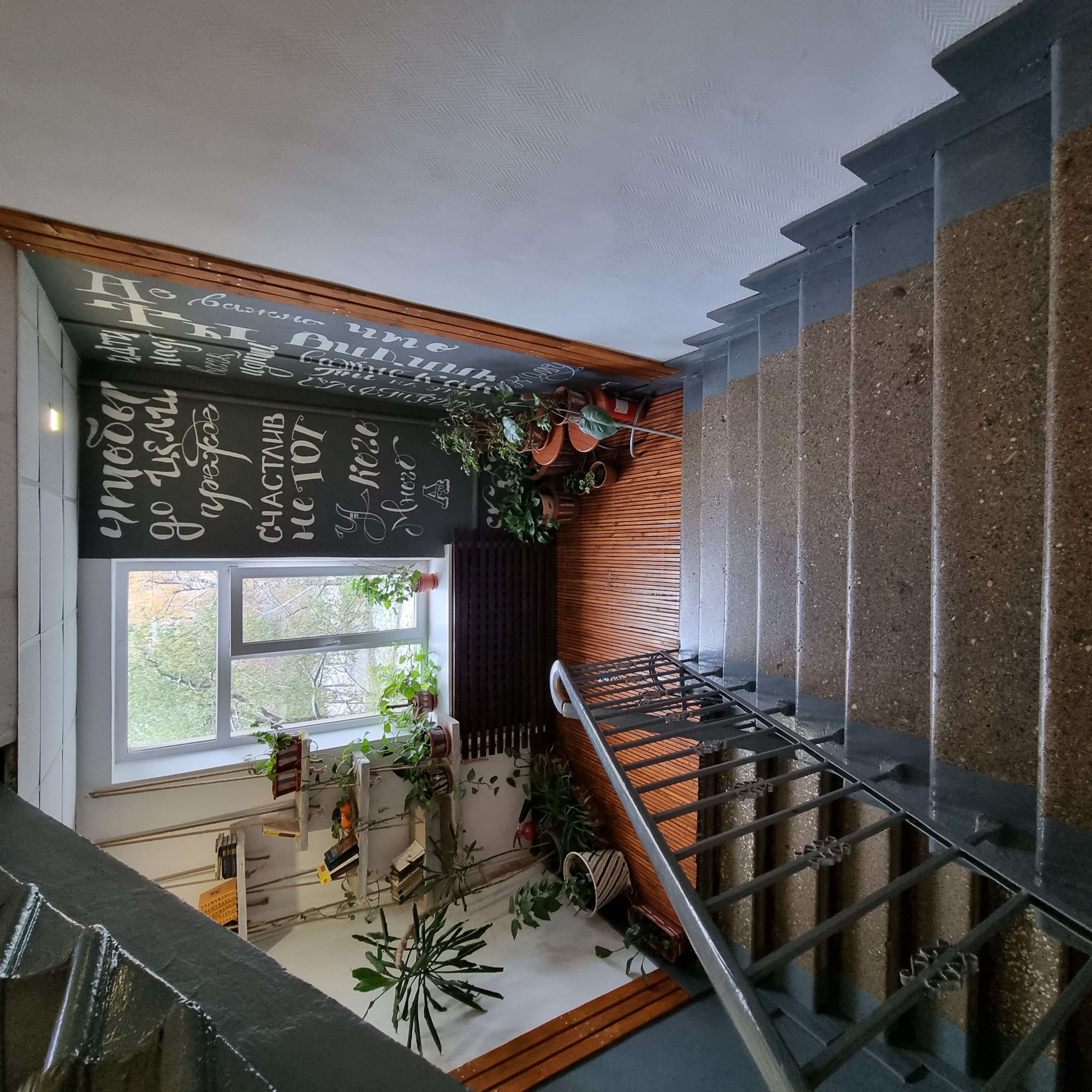 Фото Ананас