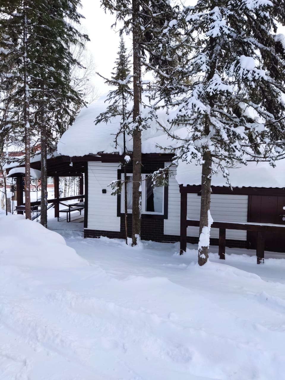 Фото 4 Стихии